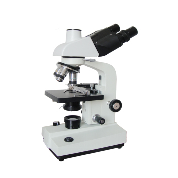 Microscopio-FSF-36TV-1600X